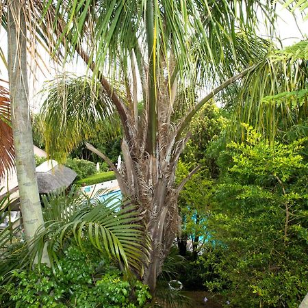 Hazelwood House Otel Stellenbosch Dış mekan fotoğraf